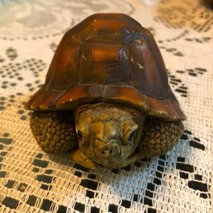 Wooden Carved Turtle Figurine